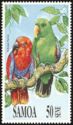 Eclectus Parrot (Eclectus roratus) 